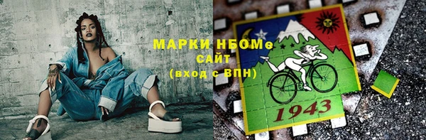 индика Алексин