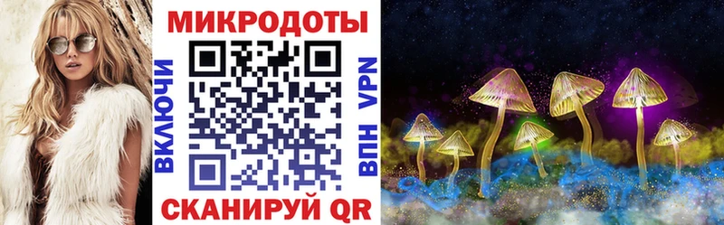 Галлюциногенные грибы Psilocybe  Рыльск 